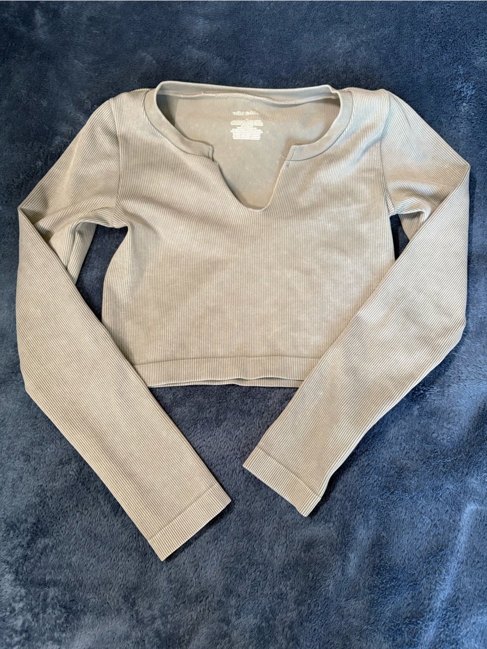 wild fable Ribbed Crop Top in Light Taupe